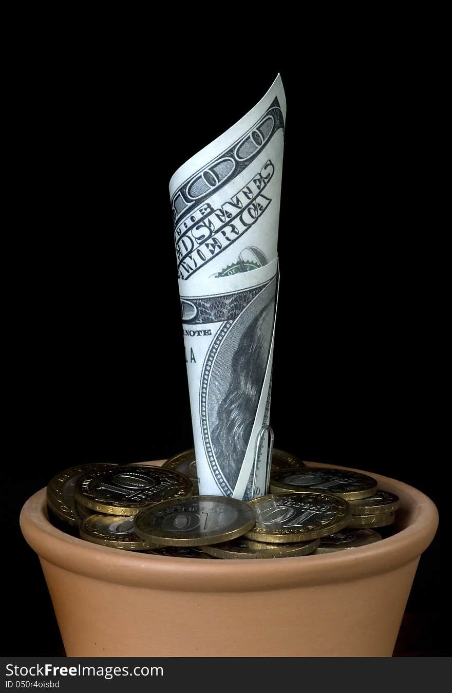 $ 100 in a flower pot on a black background