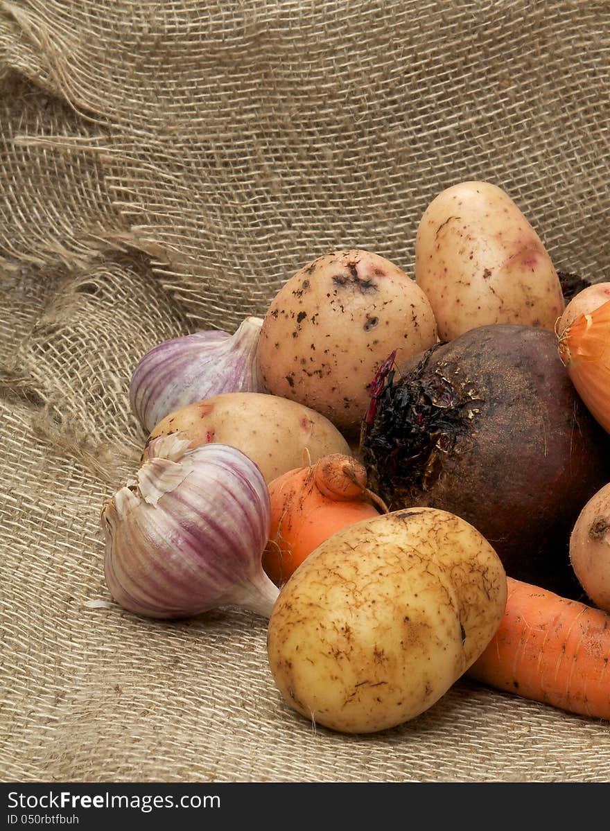 Heap of Raw Potato, Beet, Onion, Garlic and Carrot closeup on Sacking background. Heap of Raw Potato, Beet, Onion, Garlic and Carrot closeup on Sacking background