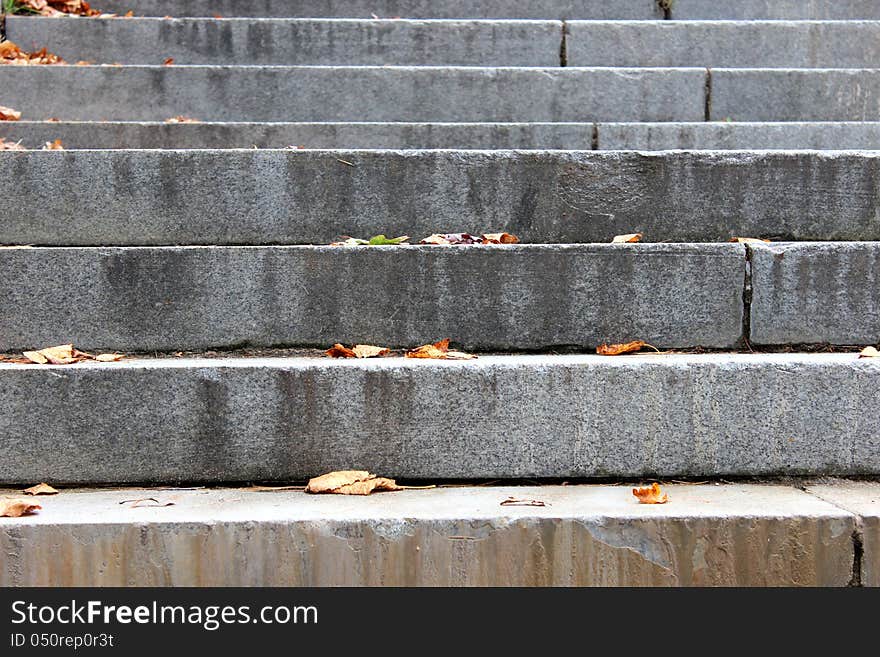 Stone steps with scattered leaves