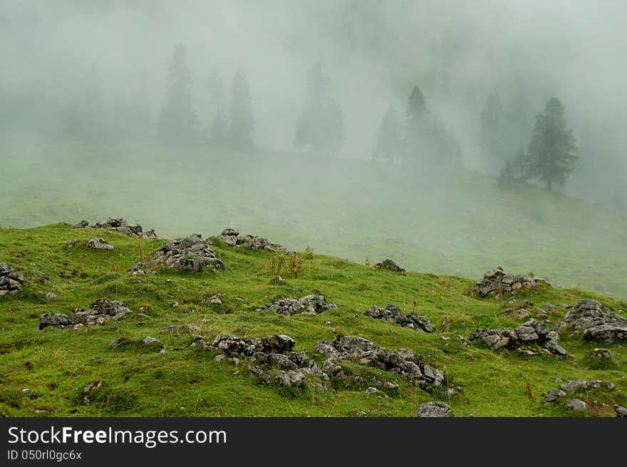 Alpine meadow and forest near Achensee, Austria. Rainy and misty weather, which gives great atmosphere to this picture. Alpine meadow and forest near Achensee, Austria. Rainy and misty weather, which gives great atmosphere to this picture.