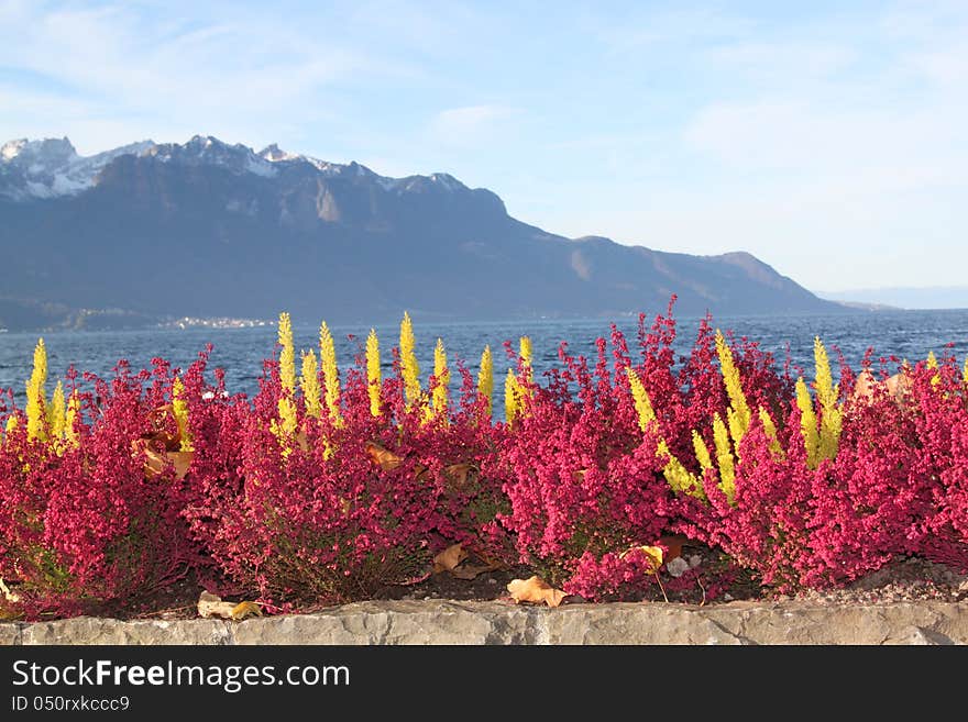 View of Montreux