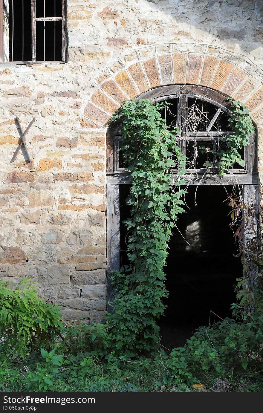 Overgrown entrance to the abandoned mill in Bulgarian village. Overgrown entrance to the abandoned mill in Bulgarian village