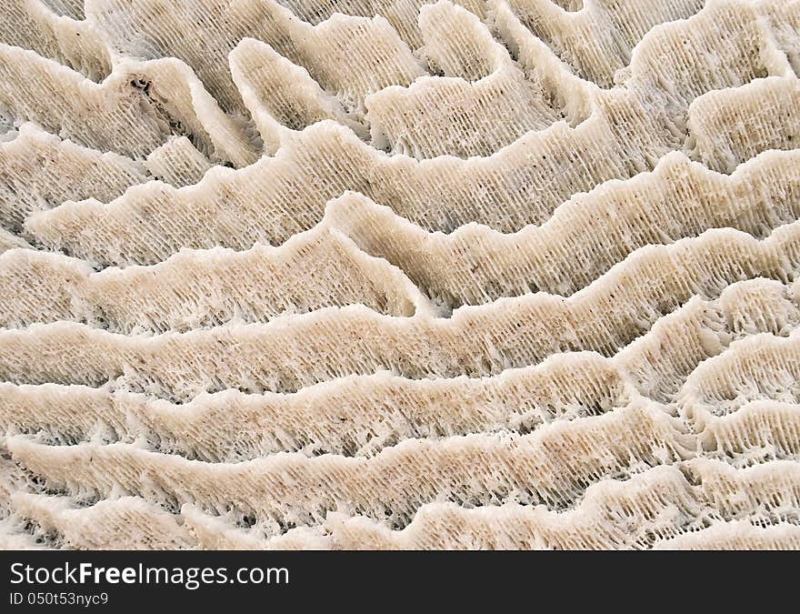 Texture of the natural coral brick. Texture of the natural coral brick