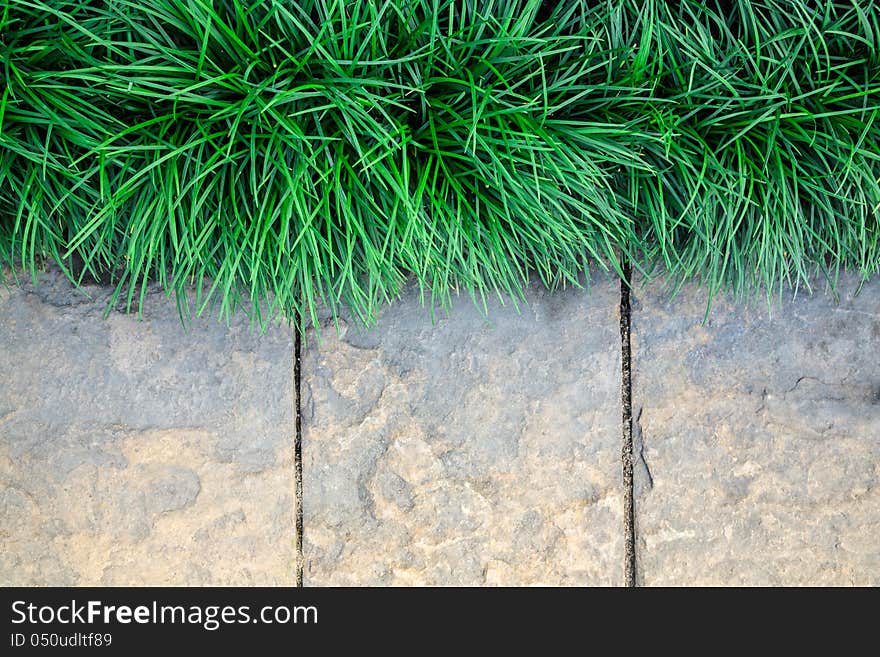 Grass frame on à¸—arble granite stone block background. Grass frame on à¸—arble granite stone block background