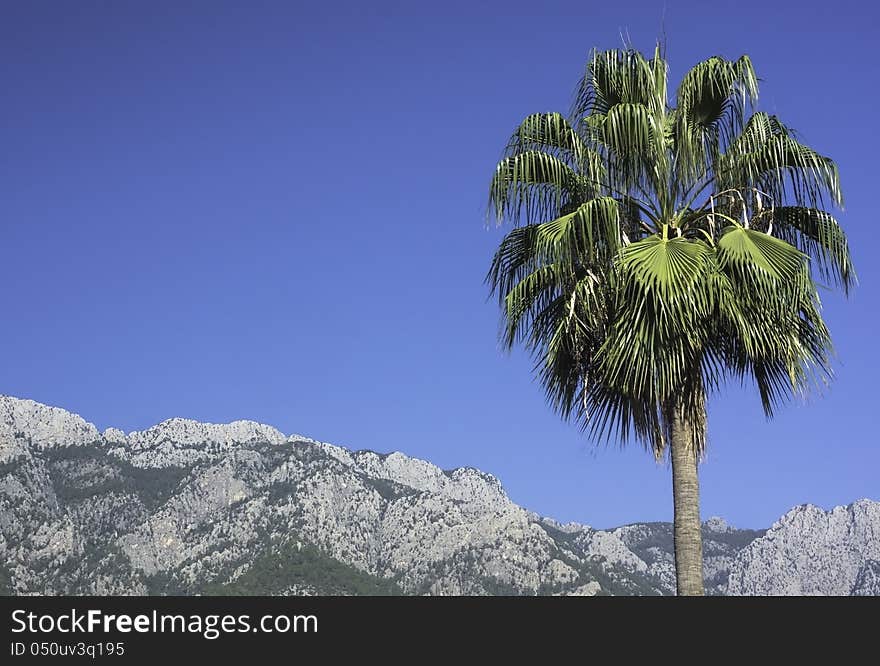 Sony 77.Photo taken at the city of Kemer in Turkey. Sony 77.Photo taken at the city of Kemer in Turkey