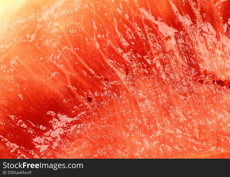 Macro close-up detail of a melon. Macro close-up detail of a melon