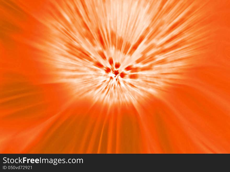 Closeup of a red fuzzy flower. Closeup of a red fuzzy flower