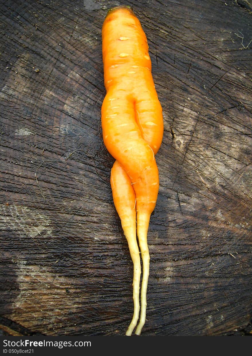 The image of unusual carrot lying on a stub