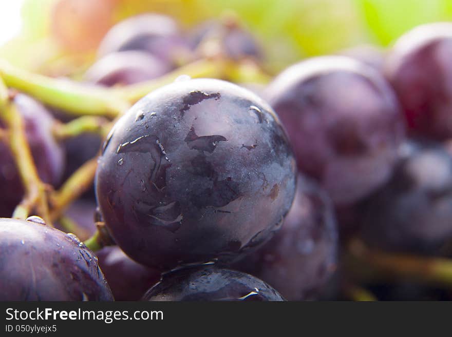 Wet Black Grapes