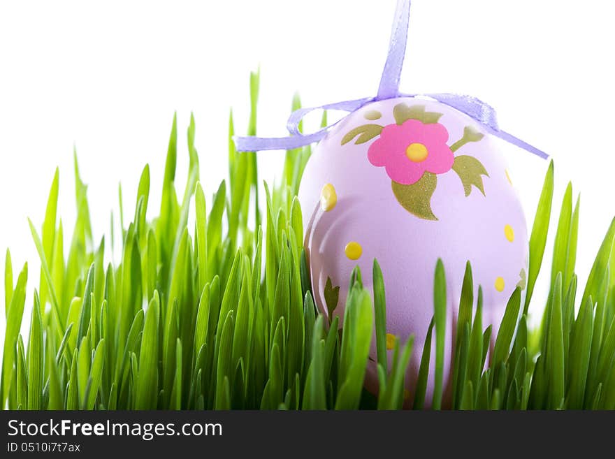 Colorful Easter eggs hanging above fresh grass isolated on white. Colorful Easter eggs hanging above fresh grass isolated on white