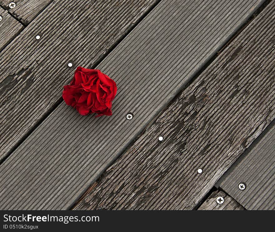 Falling red rose against a wooden background. Falling red rose against a wooden background