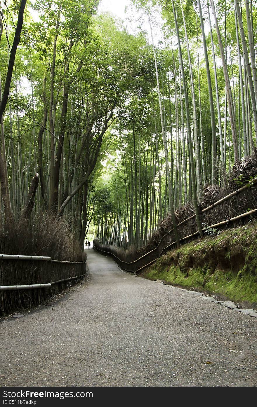 Bamboo grove in Arashiyama in Kyoto, Japan