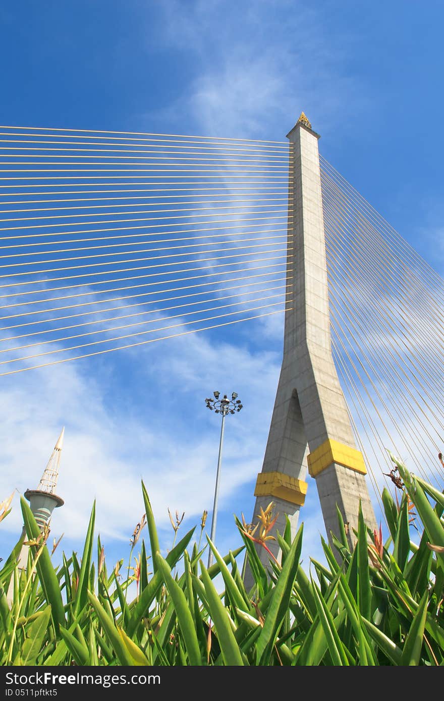 Rama VIII bridge