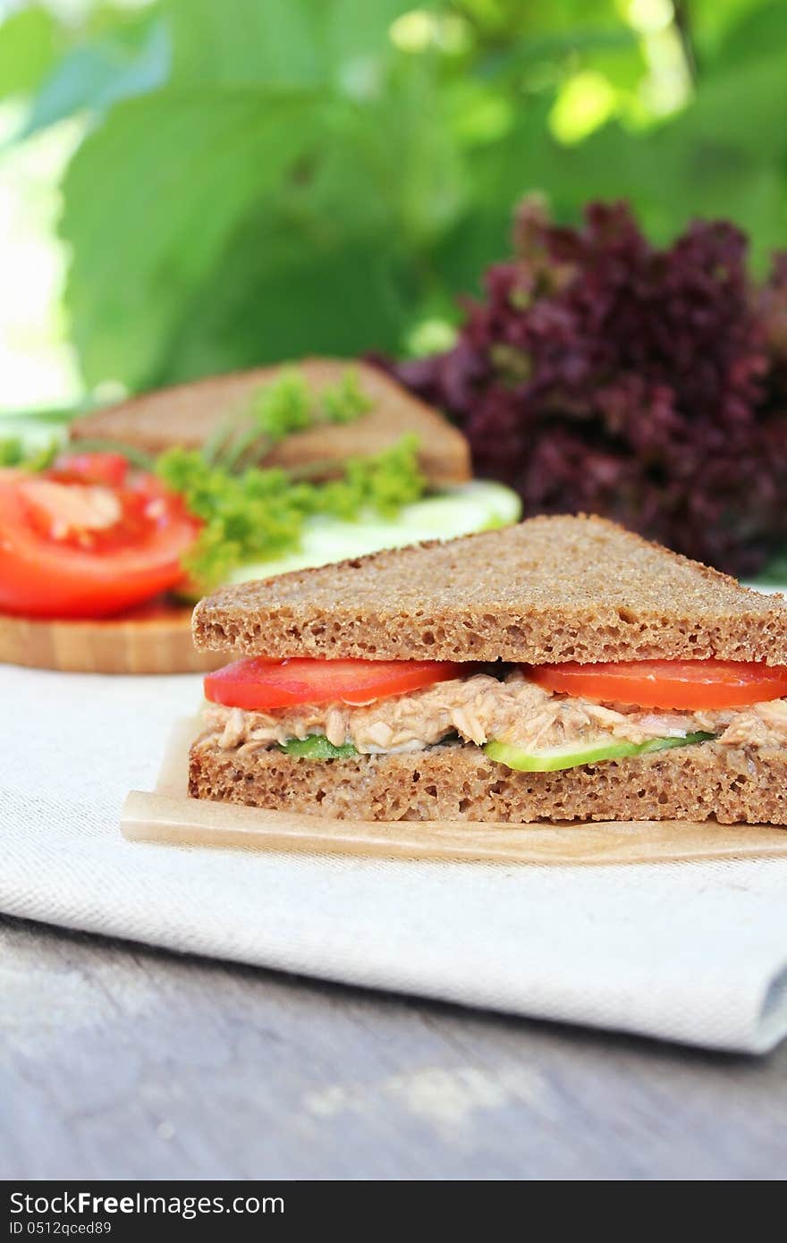 Rye bread sandwich with tuna, tomato slices and cucumber for a picnic