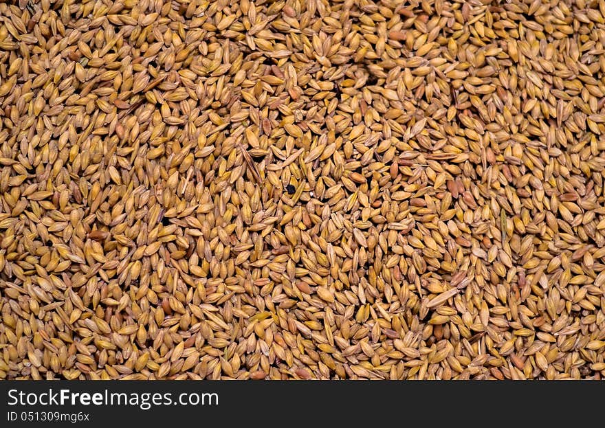 Wheat grain texture bean crop rural