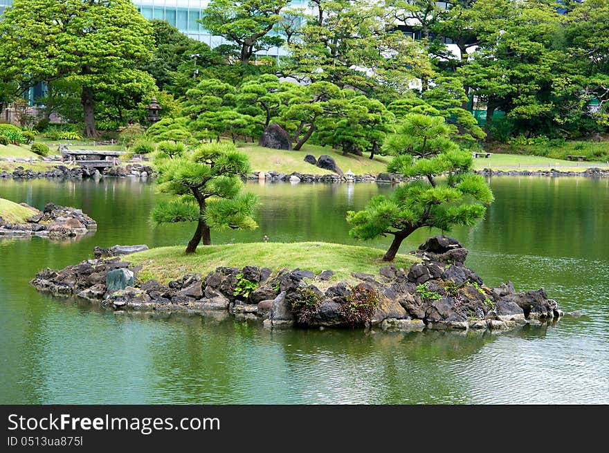 Japan garden