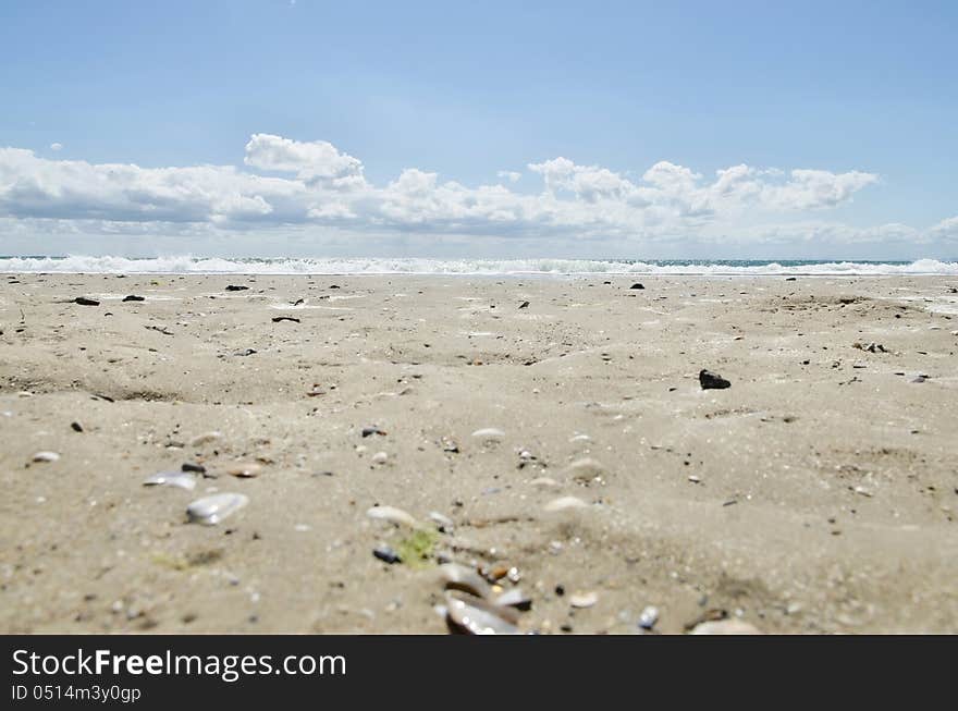 The seashore of Bulgaria (Sunny Beach)