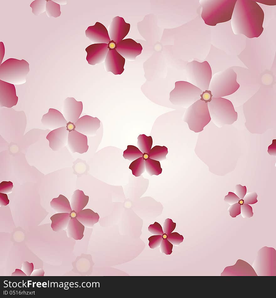 Sakura Blossom Background