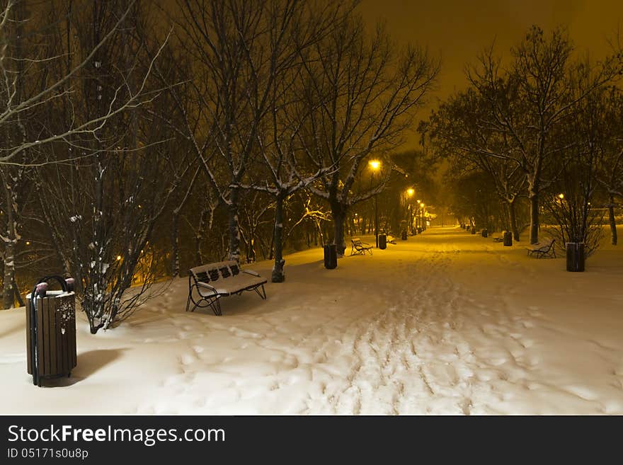 Winter in the park by night