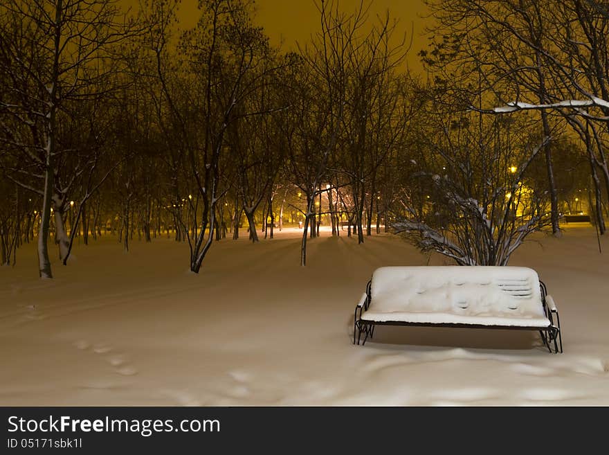 Snowy bench in the park