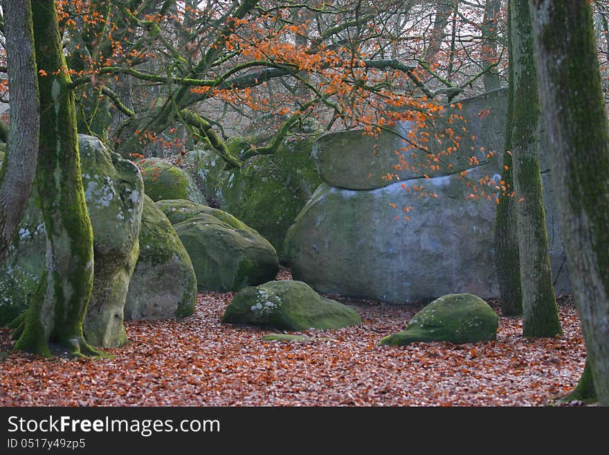 Winter view of the frest of Fontainebleau, France. Winter view of the frest of Fontainebleau, France