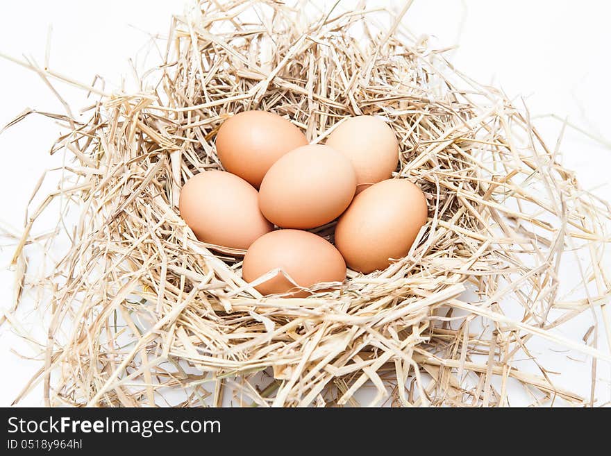 Eggs