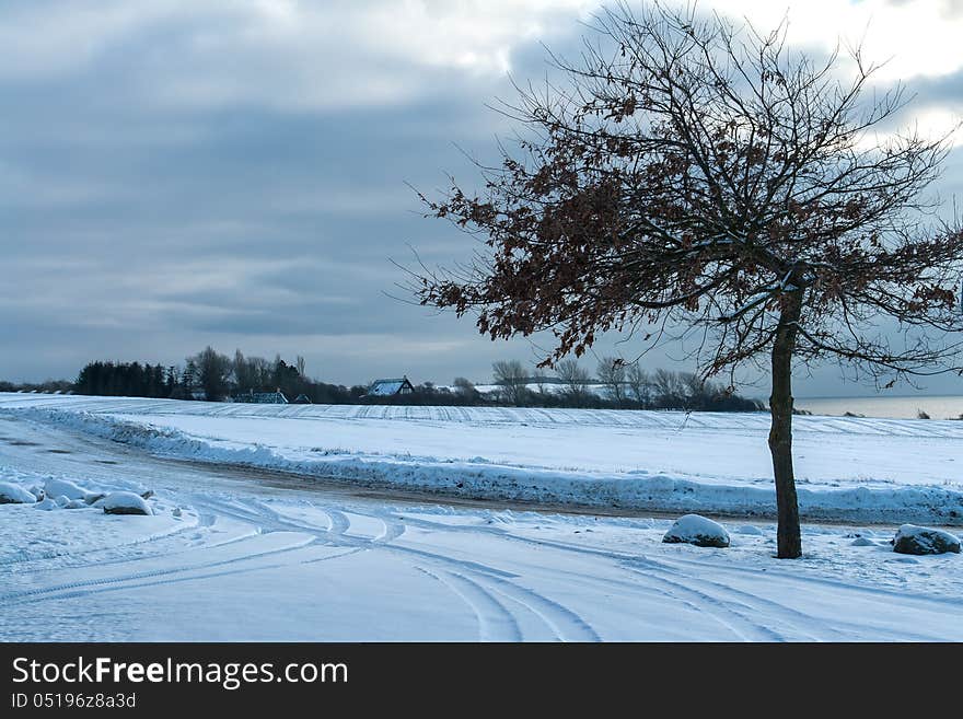 Winter landscape background - tree in the snow with a country road. Winter landscape background - tree in the snow with a country road