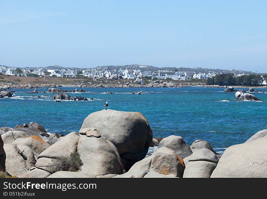 Seagull on a rock in the foreground with some houses in the backgroung. Seagull on a rock in the foreground with some houses in the backgroung