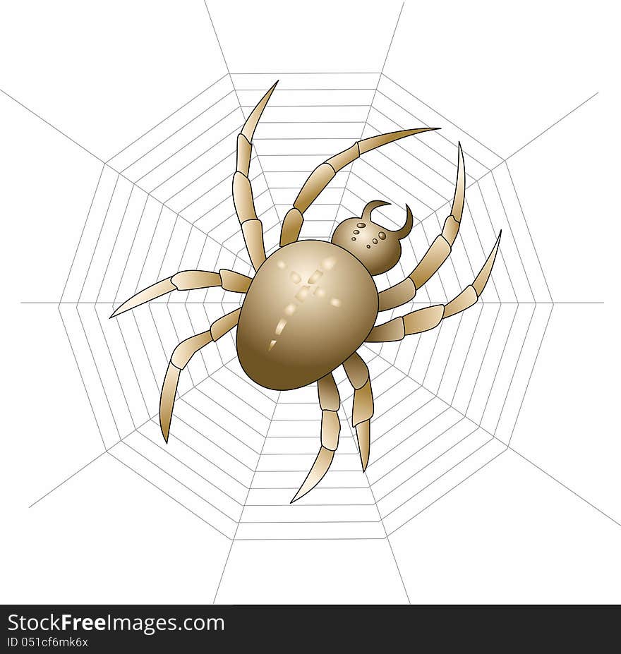 Large spider on its web on a white background. Large spider on its web on a white background