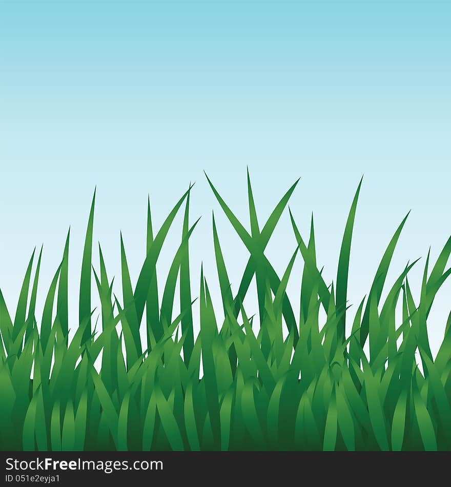 Green grass and blue sky