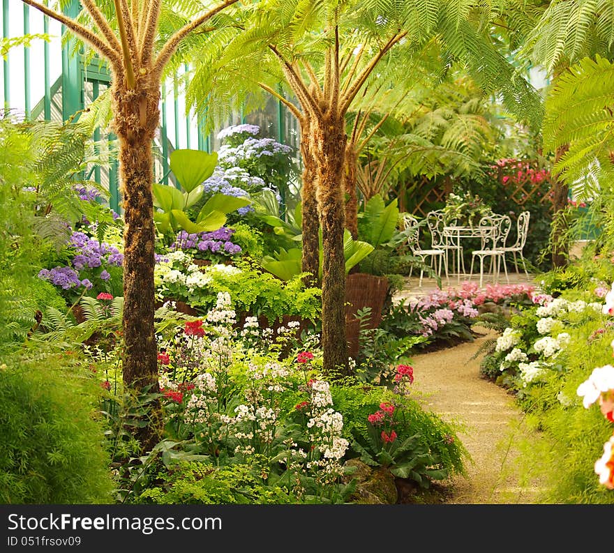 Chairs- A bunch of tropical flowers with an antique with table and 4 chairs. A romantic place with everything in perfect condition. royal conservatory in Brussels Belgium. Chairs- A bunch of tropical flowers with an antique with table and 4 chairs. A romantic place with everything in perfect condition. royal conservatory in Brussels Belgium.