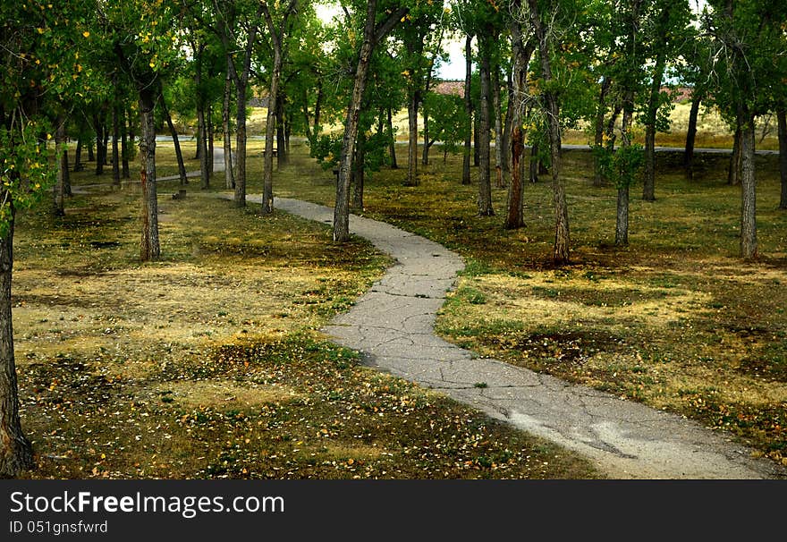 A meandering path through a park. A meandering path through a park