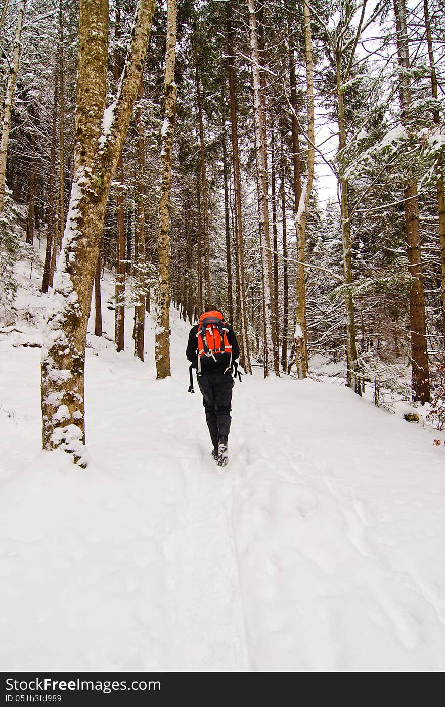 Man Hiking