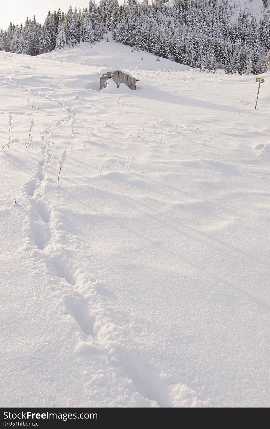 Footsteps in the snow