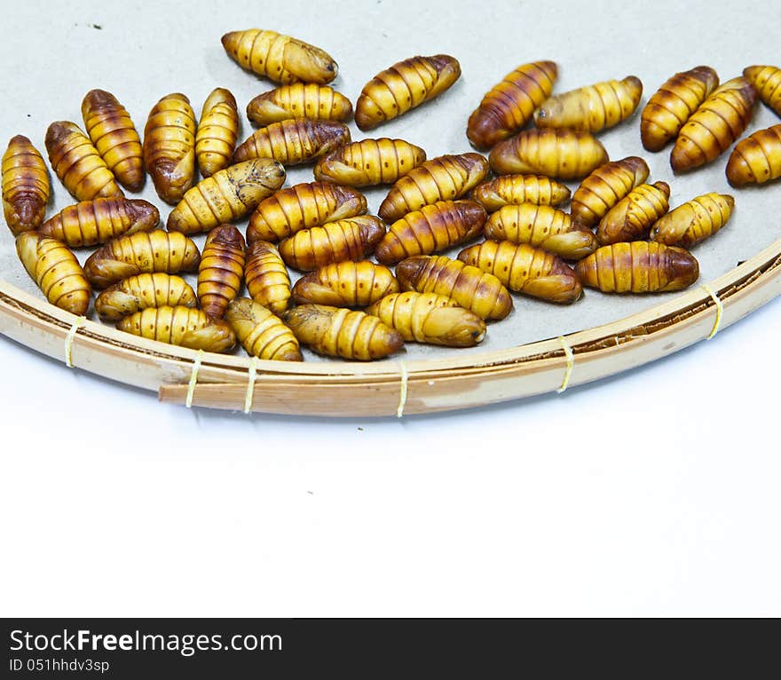 Chrysalis silkworm used for silk. Chrysalis silkworm used for silk