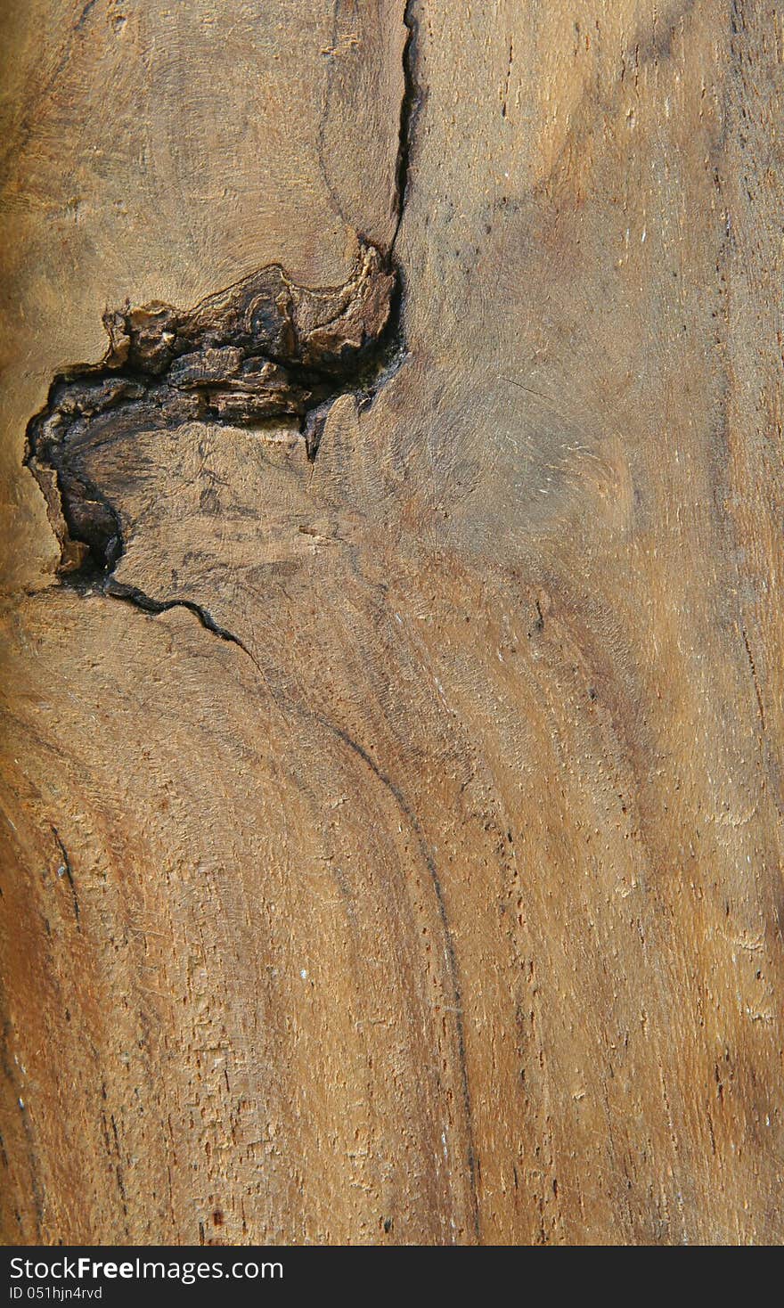 Wood texture