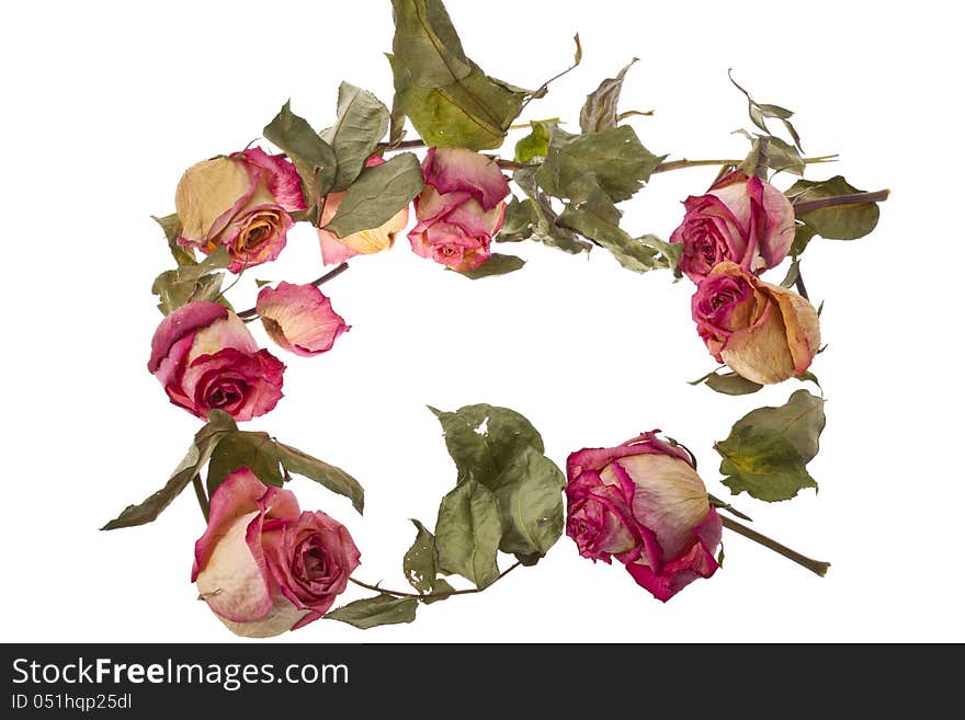 Improvised wreath with dry roses and petals isolated on white.