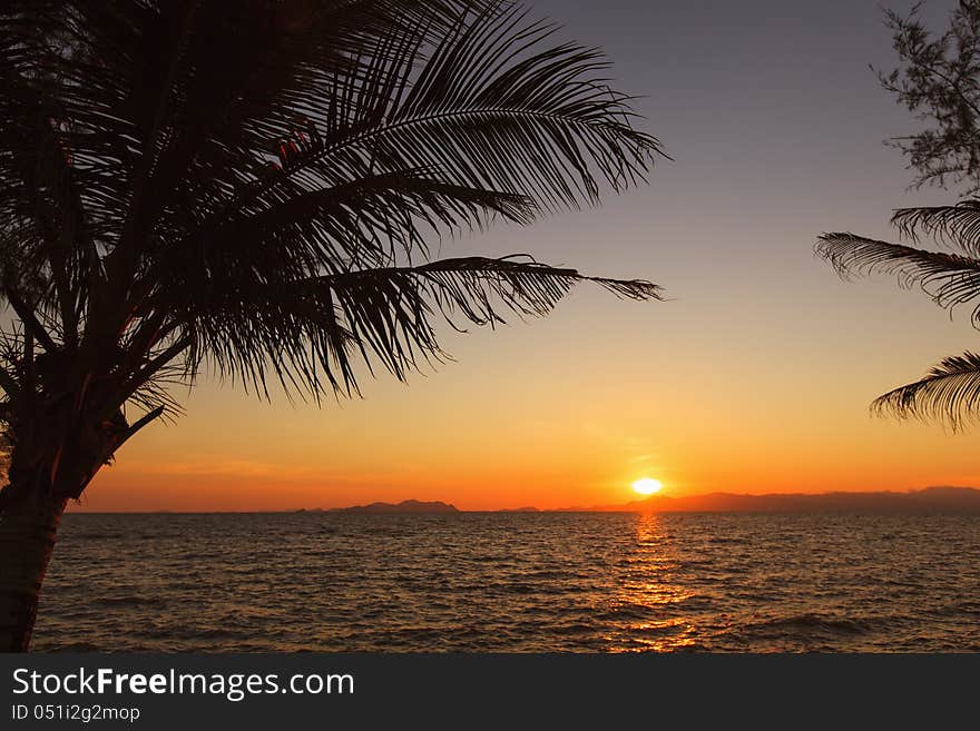 Sunset at sea. Silhouettes of palm trees at sunset.