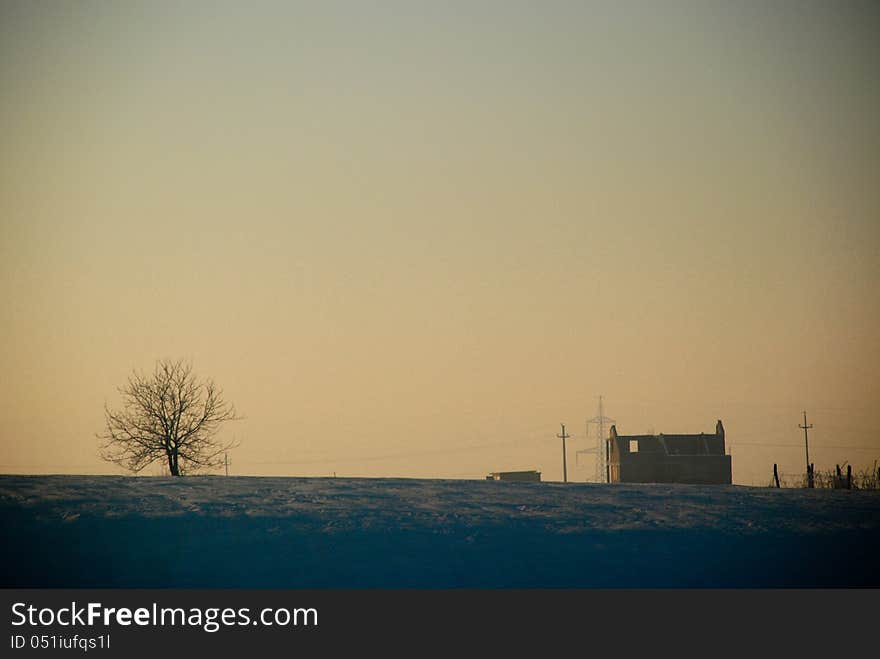 An house and a tree sunshine during the winter. An house and a tree sunshine during the winter