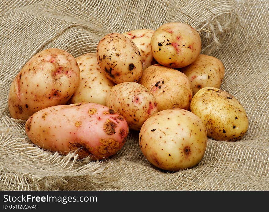 Heap of Perfect Raw Potato closeup on Sacking background