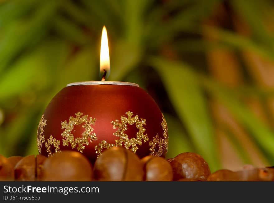 Christmas candle, macadamia nuts on green background.