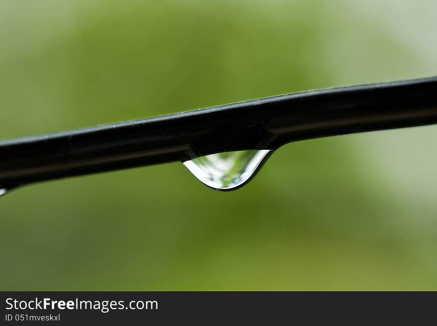 Raindrops on the wire with green background