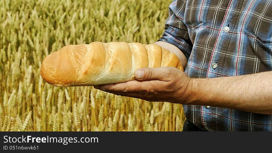 Man with bread on the wheat field. Man with bread on the wheat field.