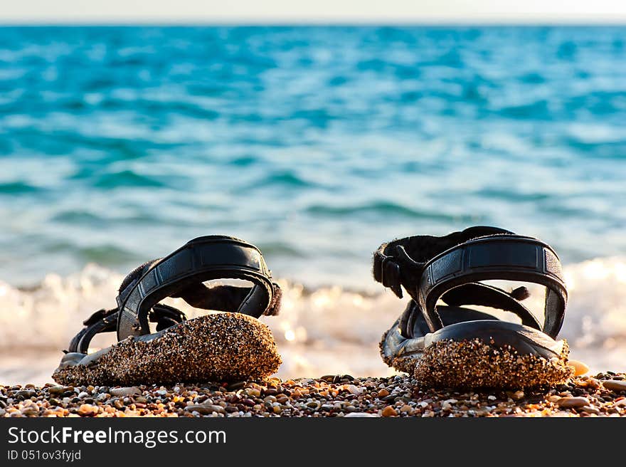 Beach shoes at the edge of the sea on the sandy beach.