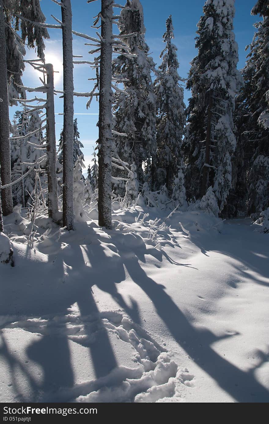 Winter landscape