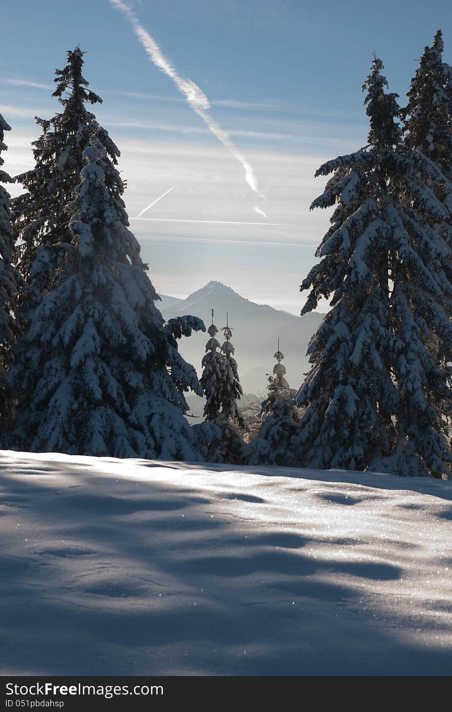 Winter landscape