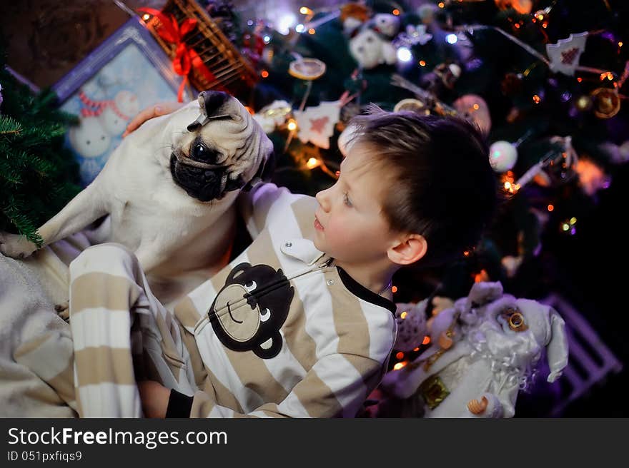 The boy in a night suit under an elegant fur-tree with a pug. The boy in a night suit under an elegant fur-tree with a pug