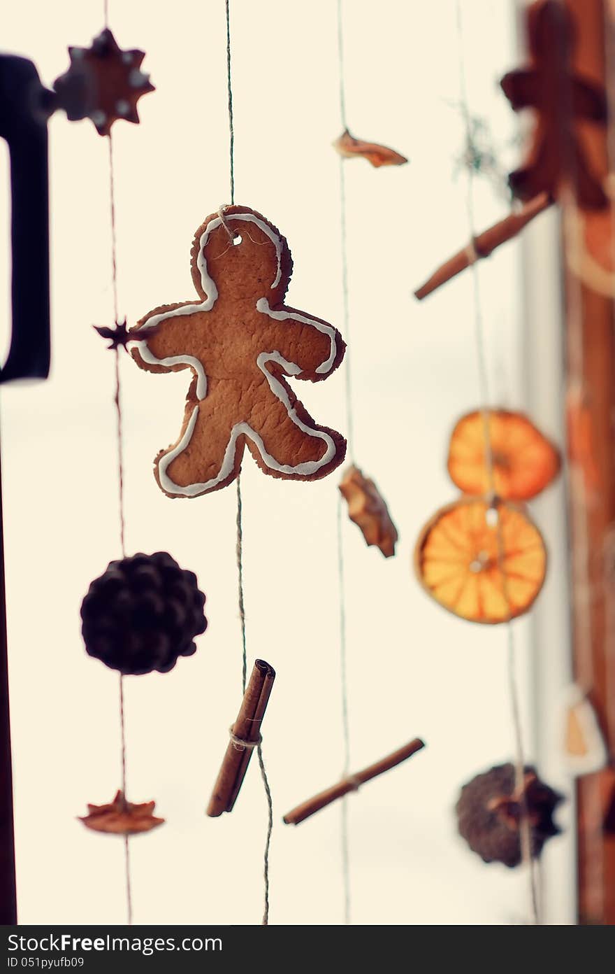 On a white background I hang down threads with different spices of an anise and vanilla and cones. On a white background I hang down threads with different spices of an anise and vanilla and cones