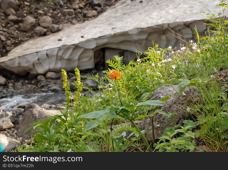 Streams, Gave Rise To The River