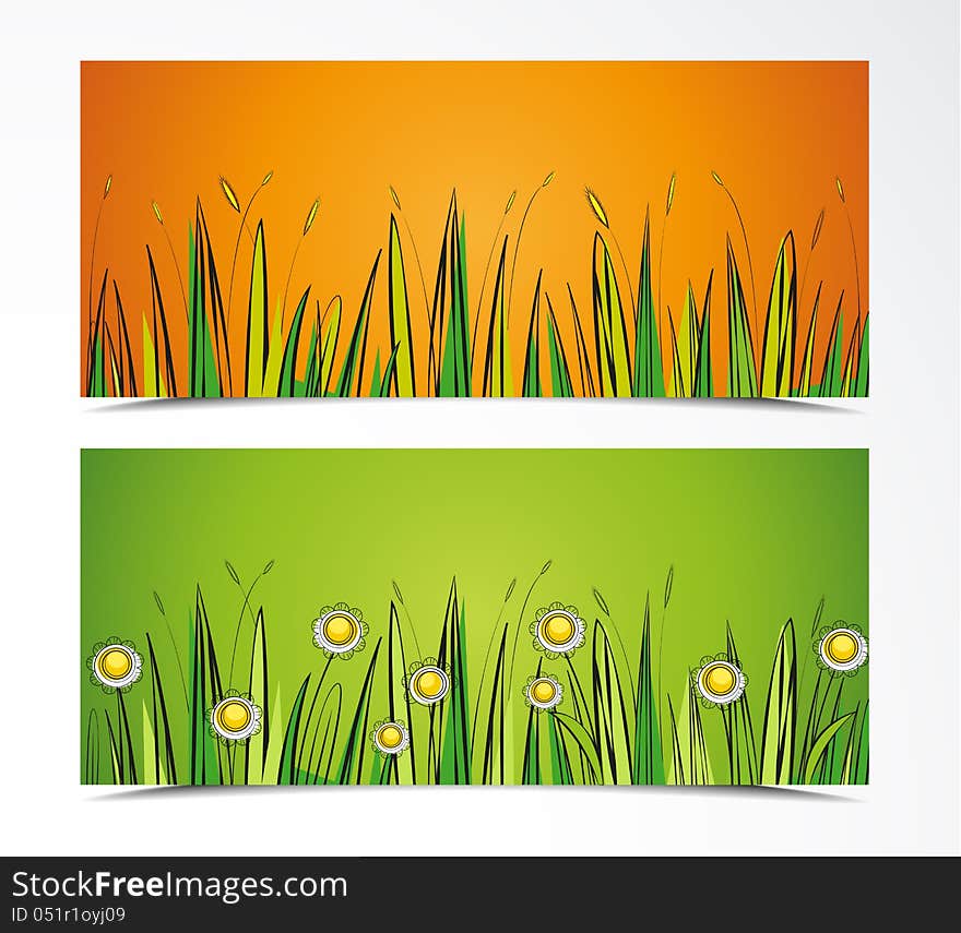 Two color background with grass and flowers